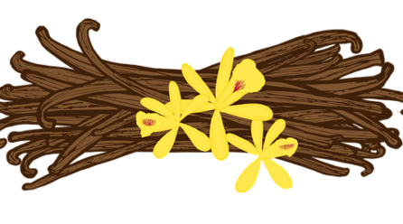 La Vanille de Madagascar