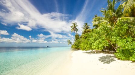 Les plus belles plages de Salvador de Bahia