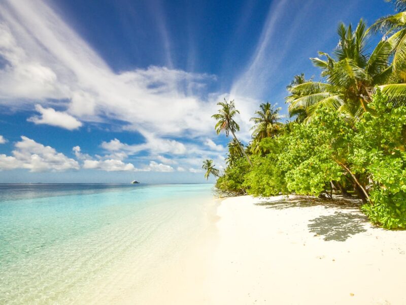 Les plus belles plages de Salvador de Bahia
