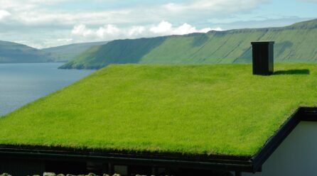 Toiture végétalisée : découvrez tout ce qu’il faut retenir à ce sujet