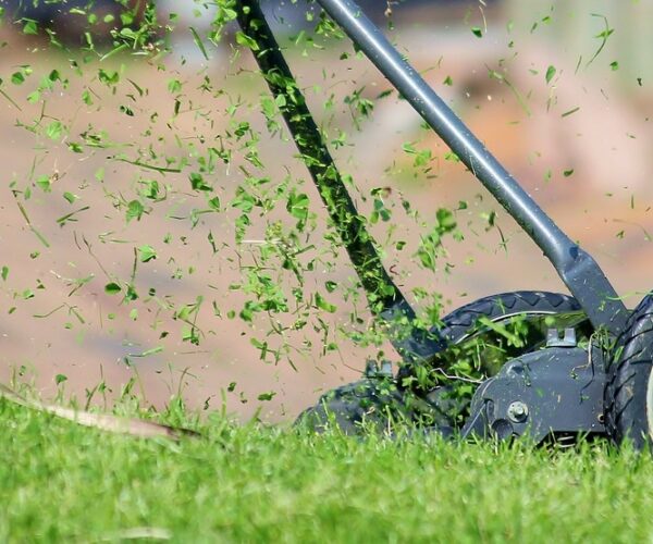 Débroussaillage de jardin : l’essentiel à savoir sur cette opération