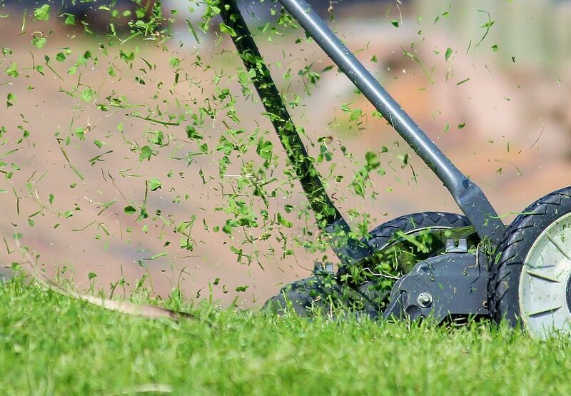 Débroussaillage de jardin : l’essentiel à savoir sur cette opération