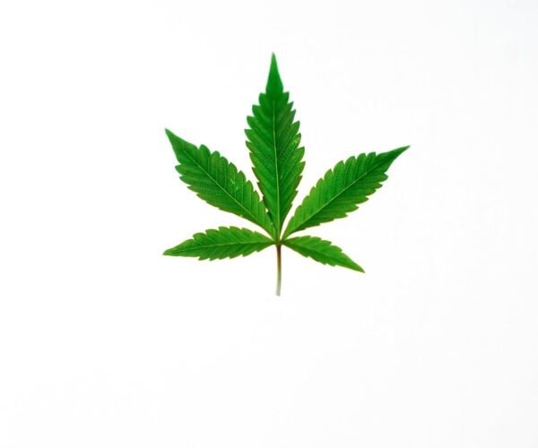 Sport et récupération : Optimisez vos performances avec les huiles CBD à Paris