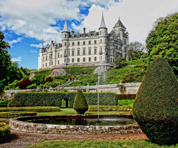 Aménager un jardin vertical afin d’optimiser l’utilisation de l’espace extérieur.