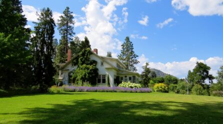 Les bienfaits de la tonte régulière pour votre pelouse
