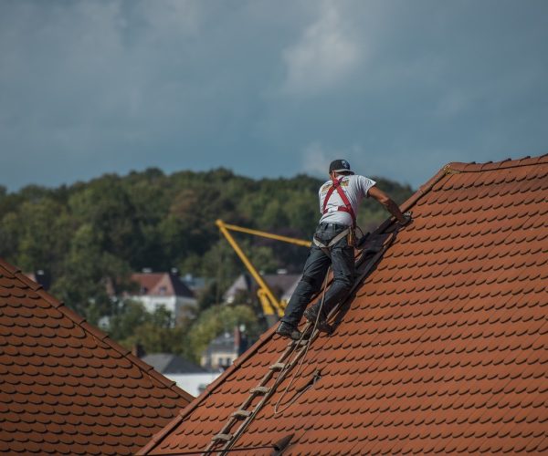 Les toitures végétalisées : une spécialité du couvreur  