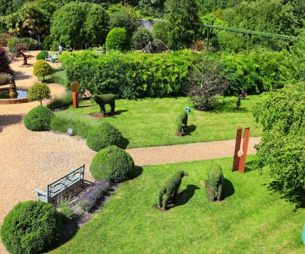 Les secrets de la multiplication des plantes par un jardinier