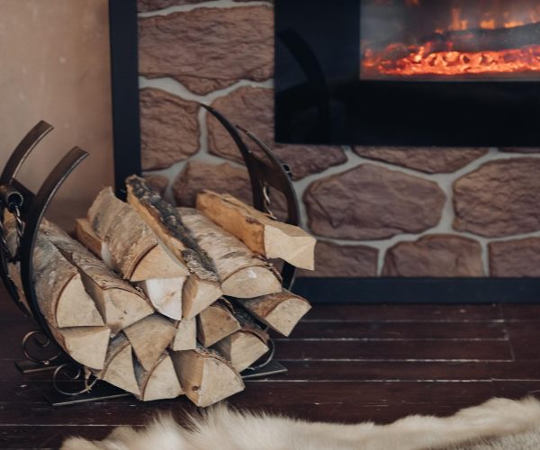 Le bois de chauffage : guide complet pour bien choisir son combustible